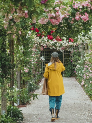 Fredriksdal, l'atmosfera degli uffici outdoor