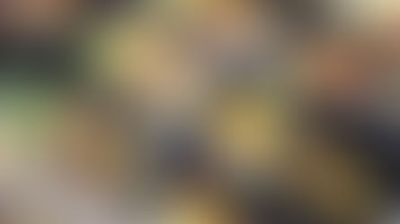 The Phoenix Suns are back and so are we!