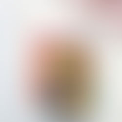 Swift and Saddled, Lyla Sage