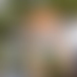 When in Rome, Sarah Adams