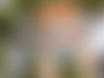 When in Rome, Sarah Adams