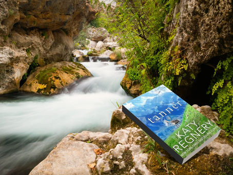 Tanner, The Stewarts of Skagway #1, Katy Regnery