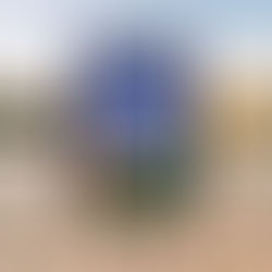 Dancing in the Moonlight, RaeAnne Thayne