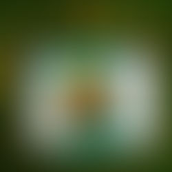 The Song of Achilles, Madeline Miller