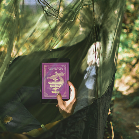 The Ornithologist's Field Guide to Love, India Holton