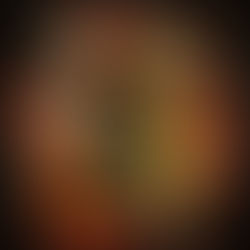 Bride of Fire, Glynnis Campbell