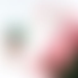 Problematic Summer Romance, Ali Hazelwood