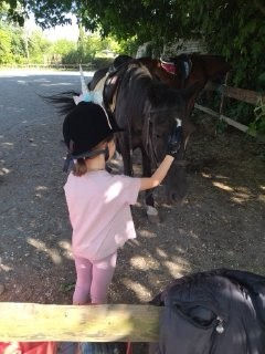Τα οφέλη της θεραπευτικής ιππασίας