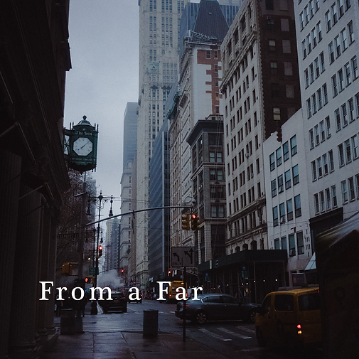 From a Far.png