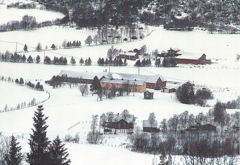 Vinterbilde gården.png