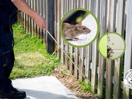 exterminator spraying for insects along an outdoor fence
