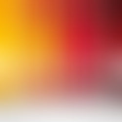 Q4 2021 Market Update