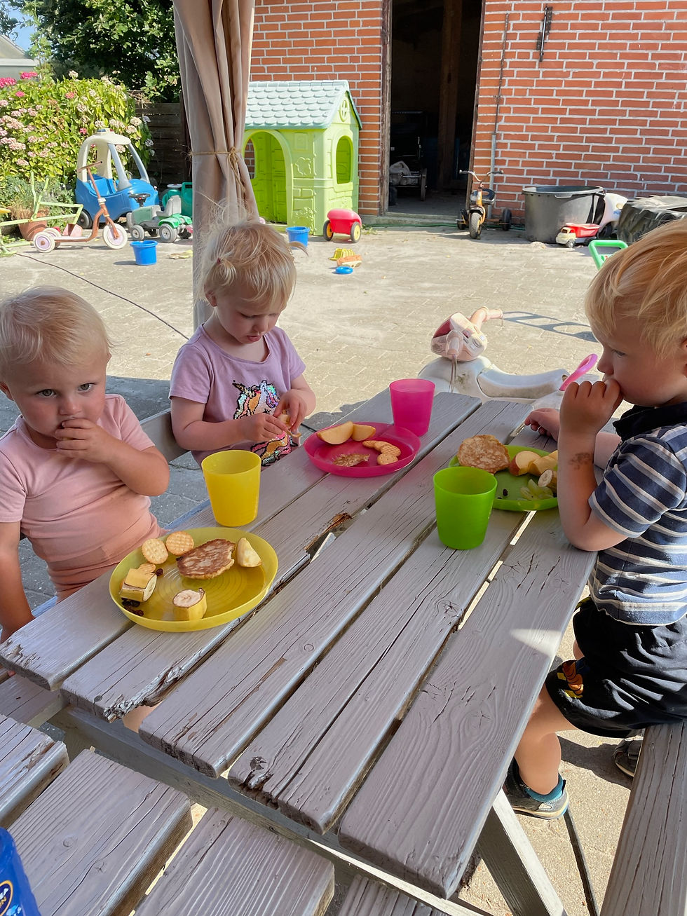Eftermiddagsfrugt