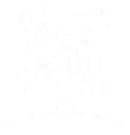 Salamander and Arrow white.png