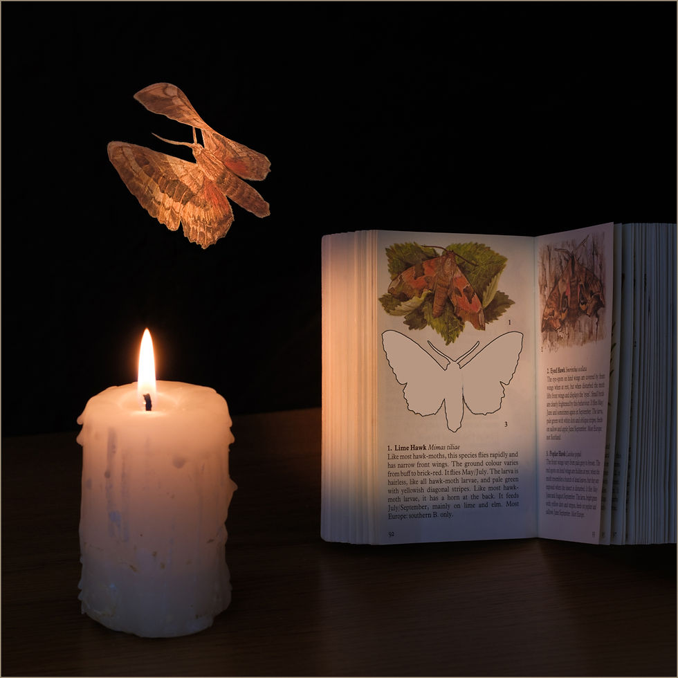 Like A Moth To A Flame by Brian Fleming