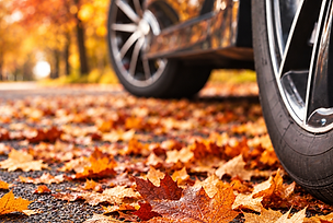 Autum Refresh