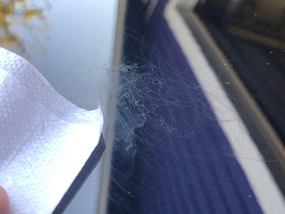 Scratches and staining on car paint after dried bird droppings were wiped off