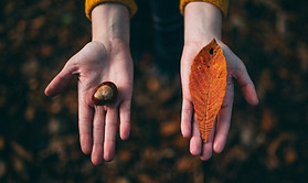 Fall Tokens
