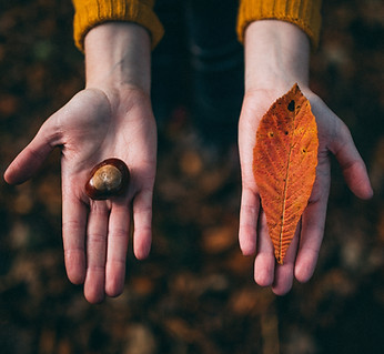 Fall Tokens