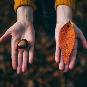 Fall Tokens