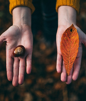 Fall Tokens