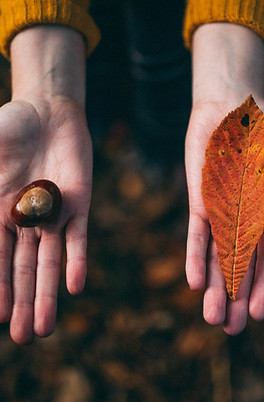 Jetons d'automne