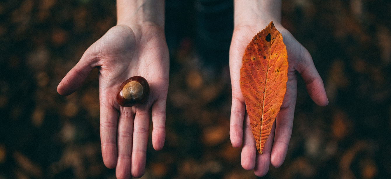 Fall Tokens