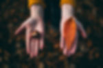 Fall Tokens