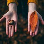 Fall Tokens