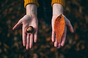 Fichas de otoño