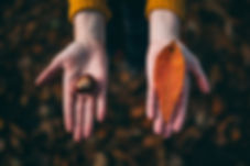 Fall Tokens