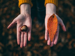Autumn crafts