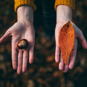 Workshop Hallo Herbst!
