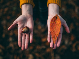 !Bienvenido otoño!