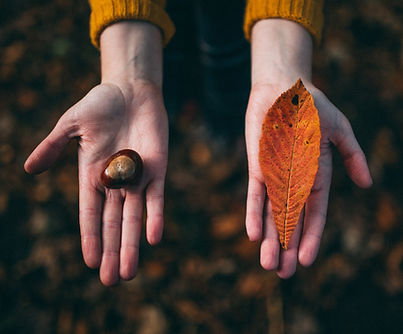 Fall Tokens