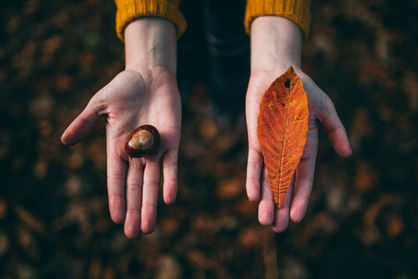 🍁Comment se nourrir en automne ?