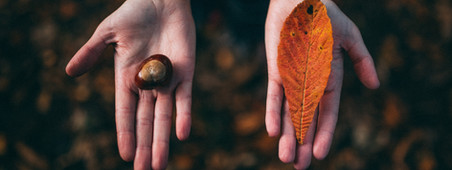 Fall Tokens