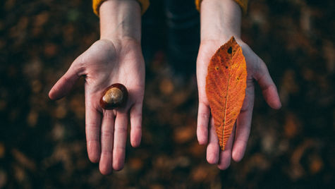 Deconstrucción de la creatividad y la innovación