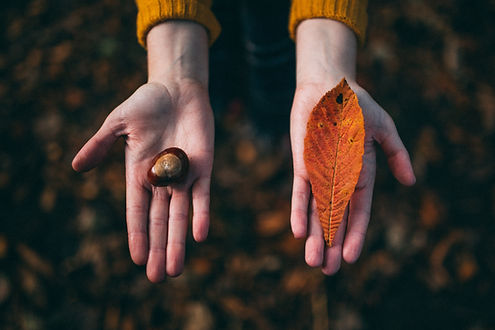 Fall Tokens