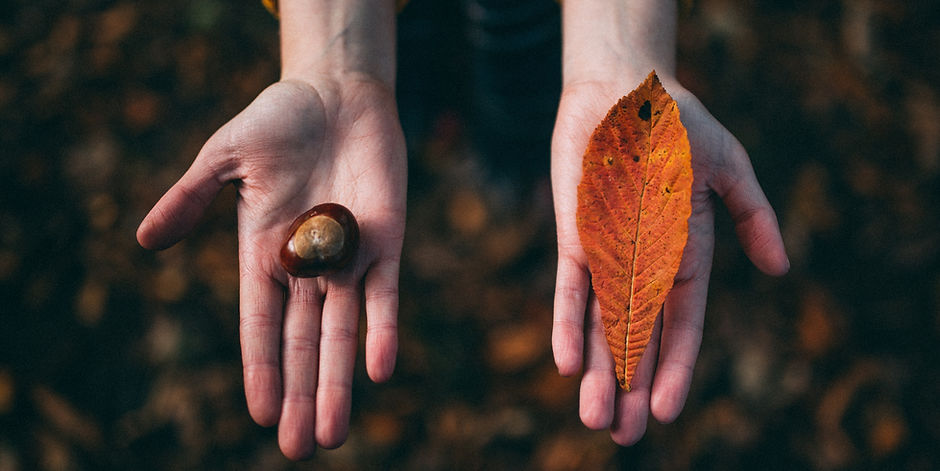 Fall Tokens