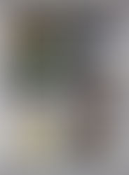 HIKARIANOS CONQUISTAM MEDALHAS NO SÃO PAULO INTERNACIONAL OPEN