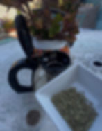 צלוחית ובה זרעי שומר תרבותי שקונים בחנות תבלינים.