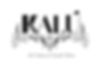 PuntoVenta-kalu.jpg