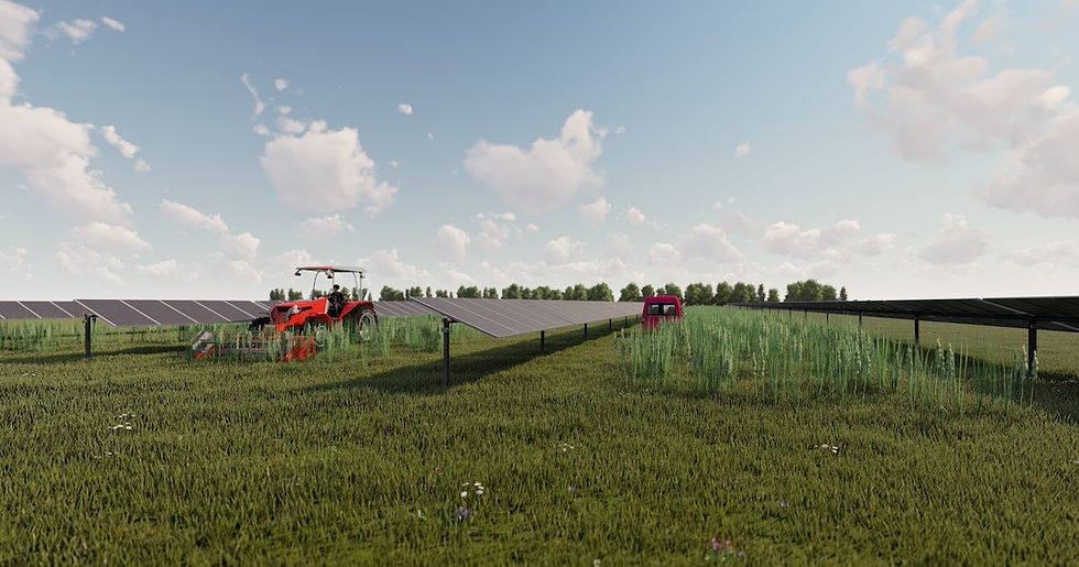 Agriphotovoltaik Anlage