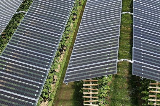 Agri-PV Anlage