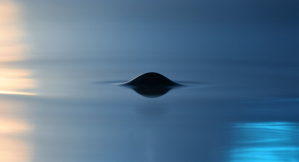 Deformation induced at a water-air interface by the ultrasound (Credits: F. Sisombat)