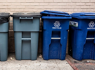 VineDisposal-217657-When-To-Trash-blogbanner1.jpg