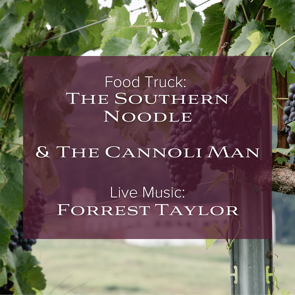 Forrest Taylor | The Southern Noodle | The Cannoli Man