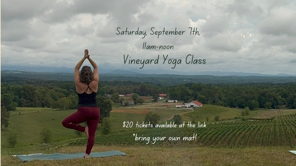 Vineyard Yoga Class