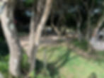 Camp Site 3